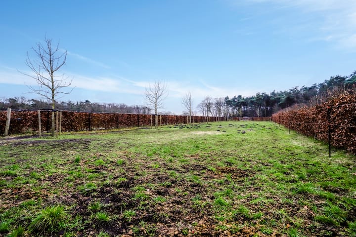 Foto 69 van Langenbergseweg 10