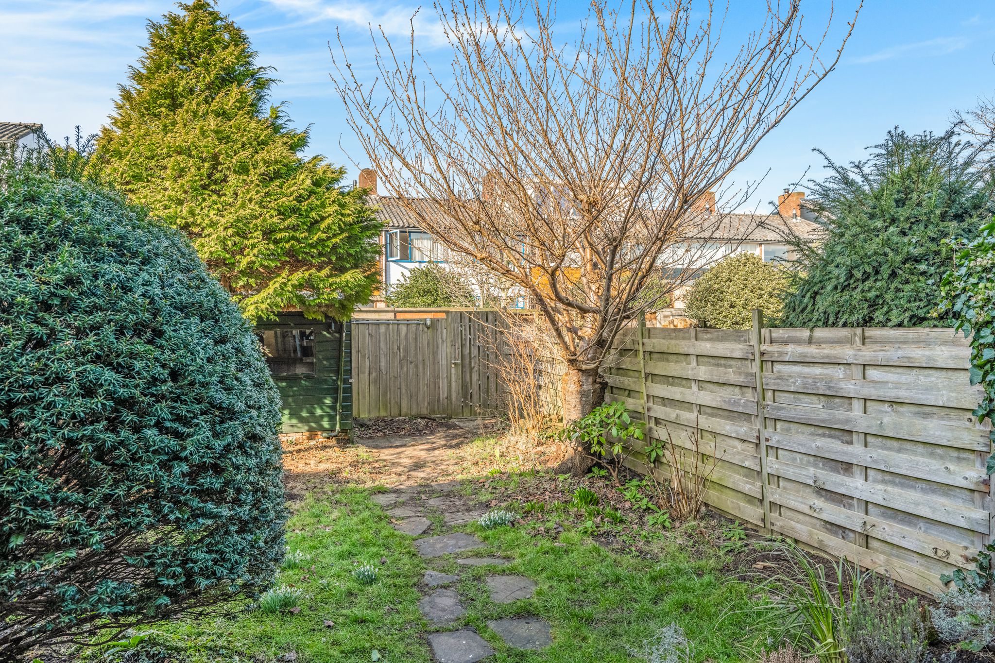 Foto 33 van Mathijsenstraat 20