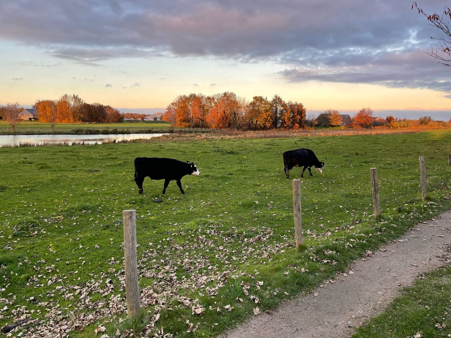 Foto 34 van Riederwaard 30