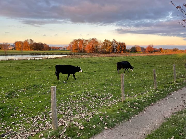 Foto 34 van Riederwaard 30