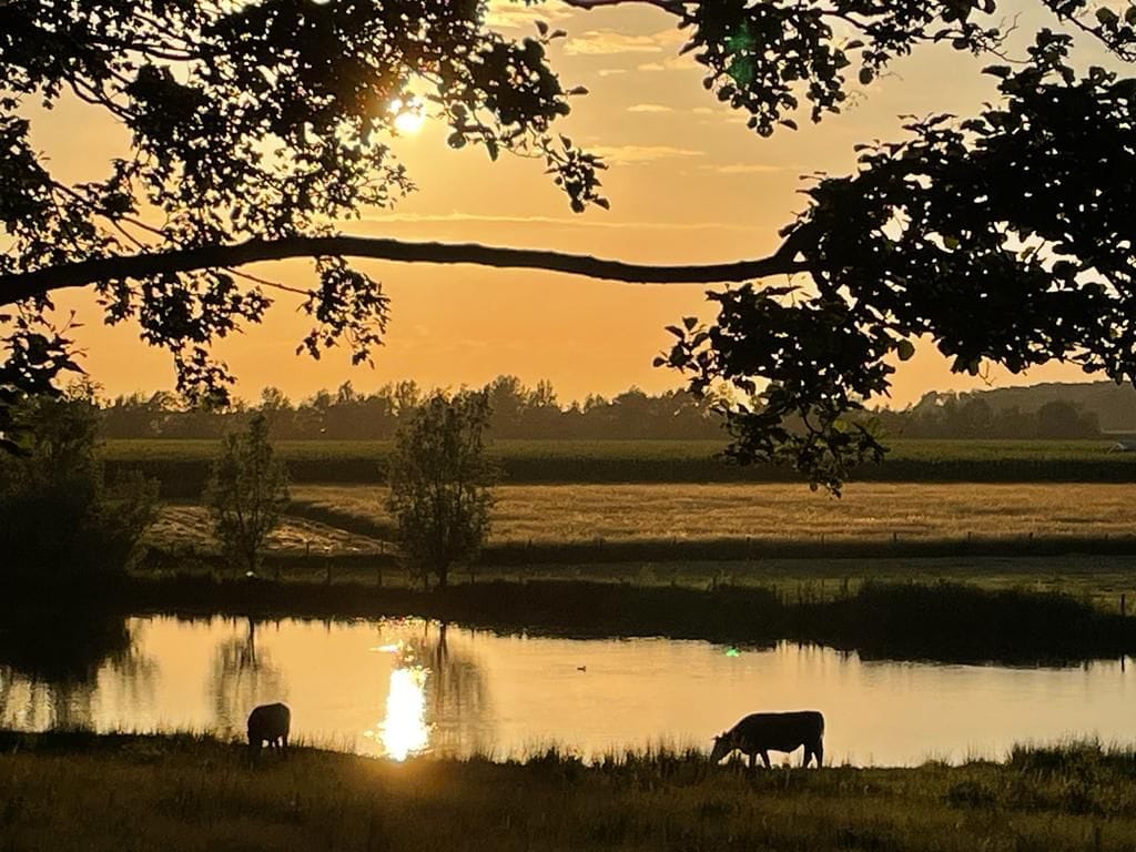 Foto 37 van Riederwaard 30