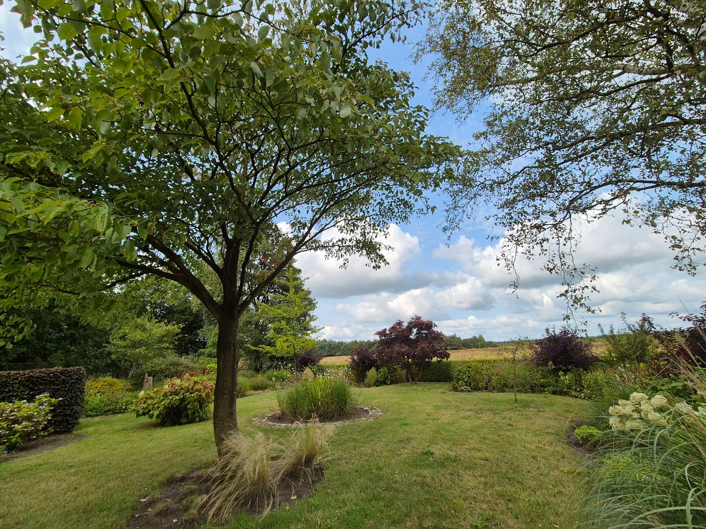 Photo 4 of Hoogeveenseweg 26