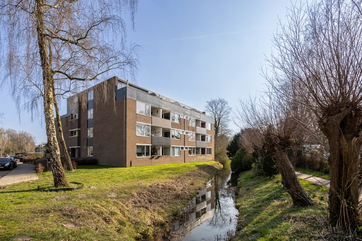Foto 1 van Hondsdraf 73