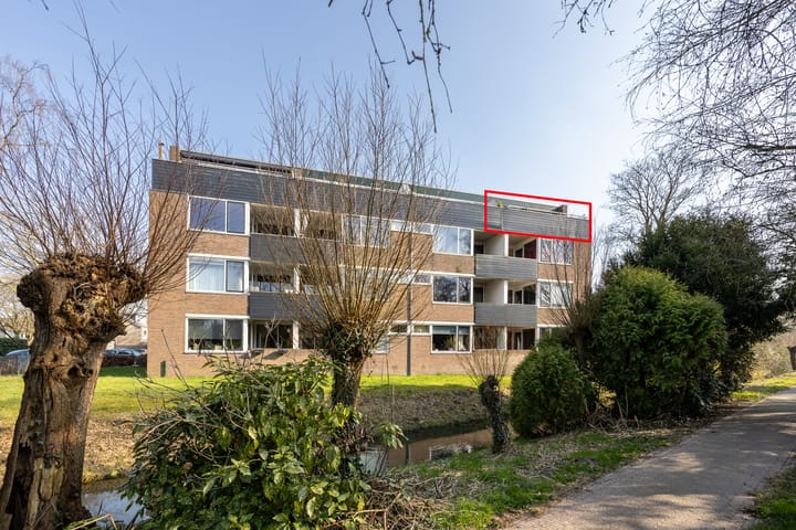 Foto 2 van Hondsdraf 73