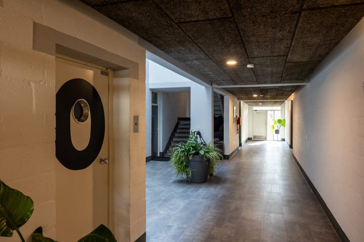 Foto 3 van Hondsdraf 73