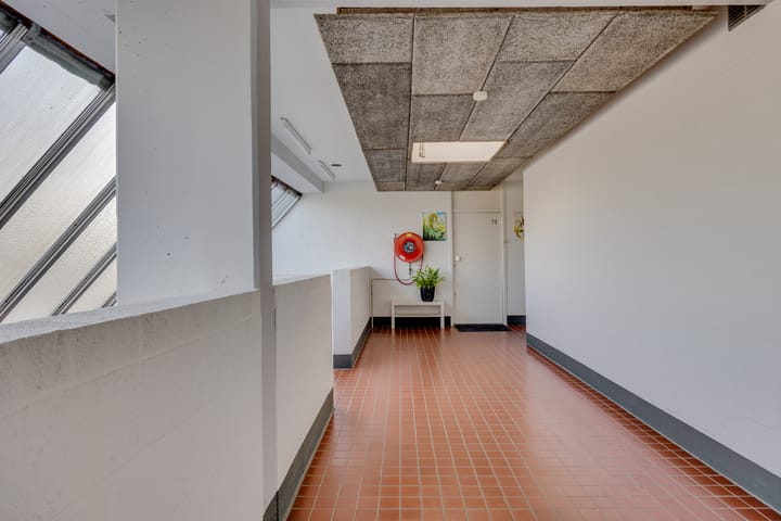 Foto 4 van Hondsdraf 73