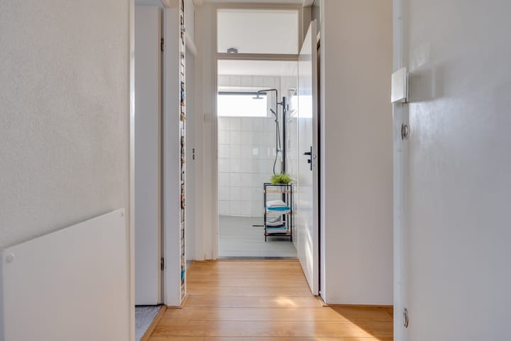 Foto 5 van Hondsdraf 73