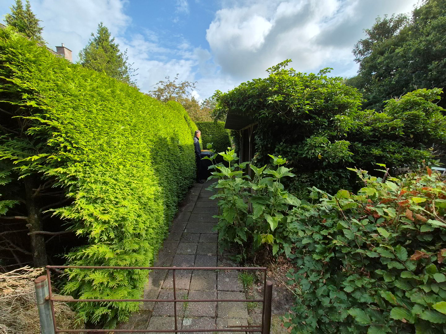 Photo 35 of Hoogeveenseweg 26