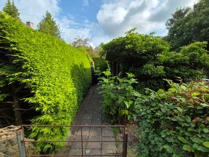 Foto 35 van Hoogeveenseweg 26