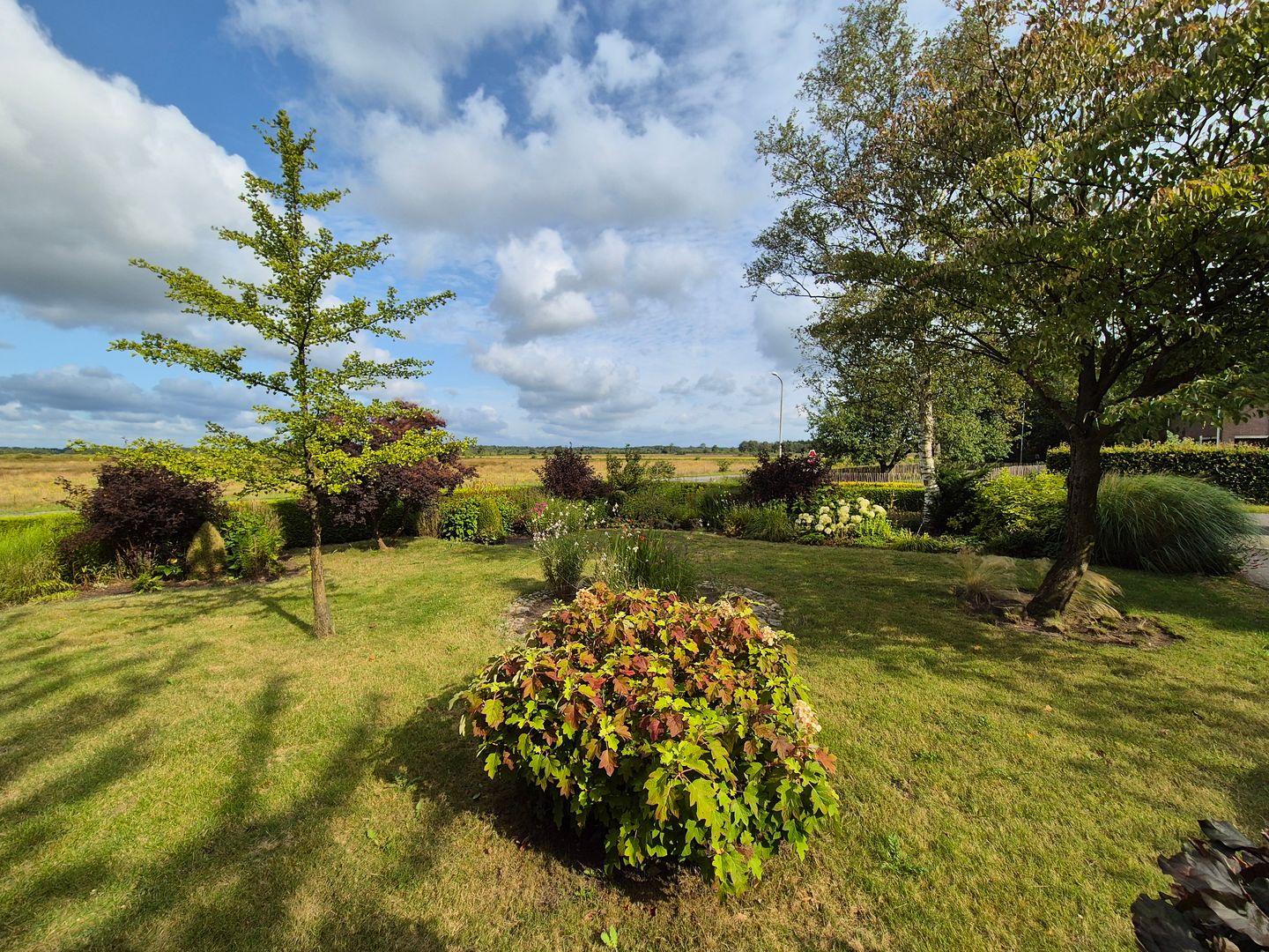 Photo 44 of Hoogeveenseweg 26