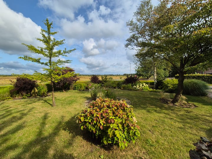 Foto 44 van Hoogeveenseweg 26