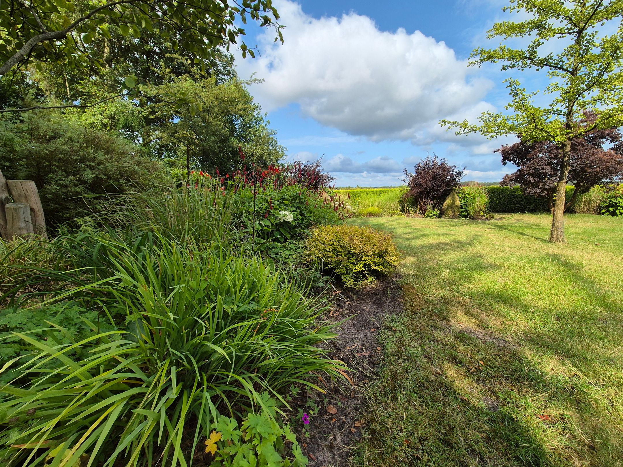 Photo 45 of Hoogeveenseweg 26