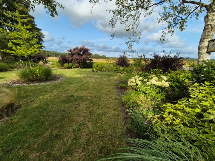 Foto 47 van Hoogeveenseweg 26