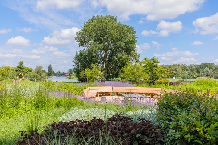 Photo 41 of César Francklaan 101