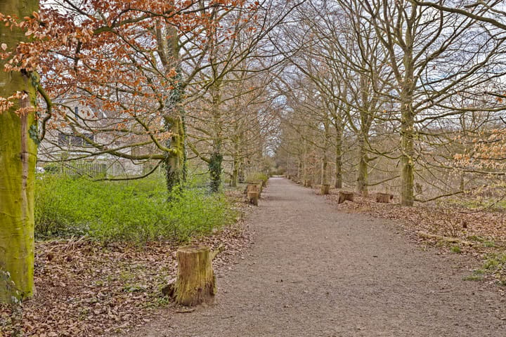 Foto 42 van Bandalaan 38