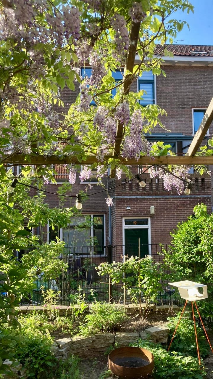 Foto 19 van Borgardijnstraat 4