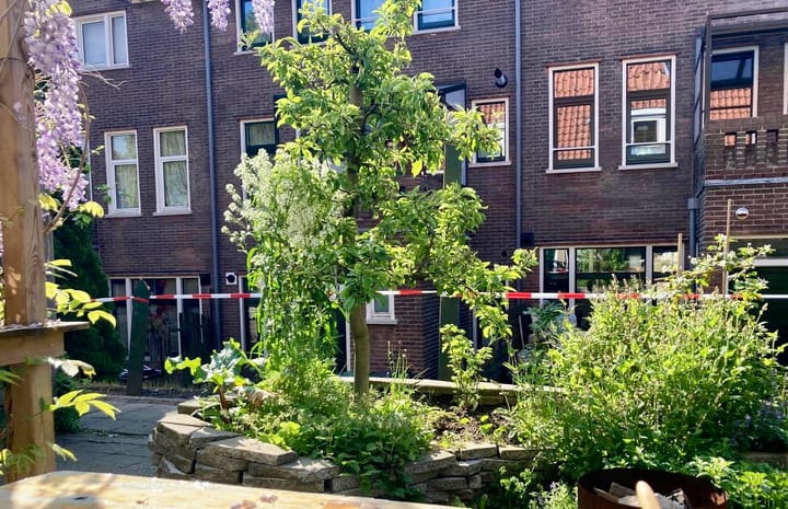 Foto 21 van Borgardijnstraat 4