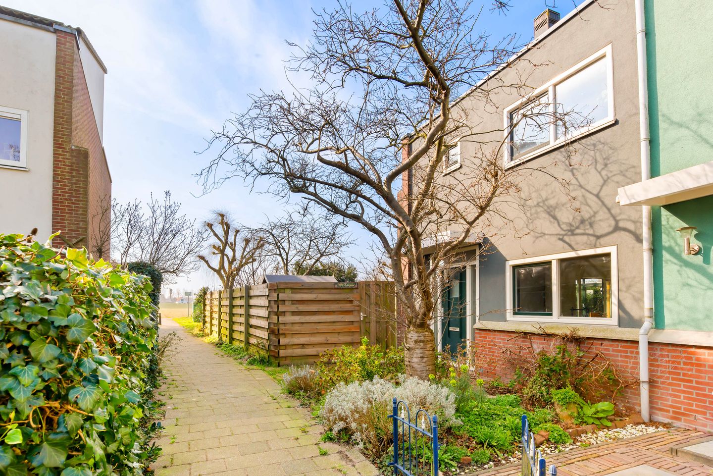 Foto 1 van Engels Gras 56