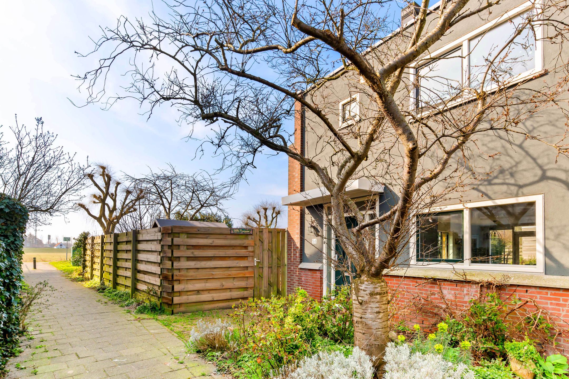 Foto 6 van Engels Gras 56