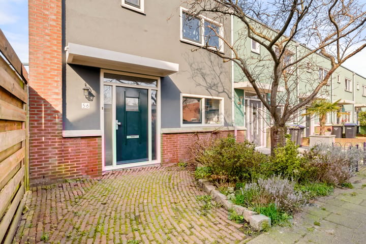 Foto 7 van Engels Gras 56