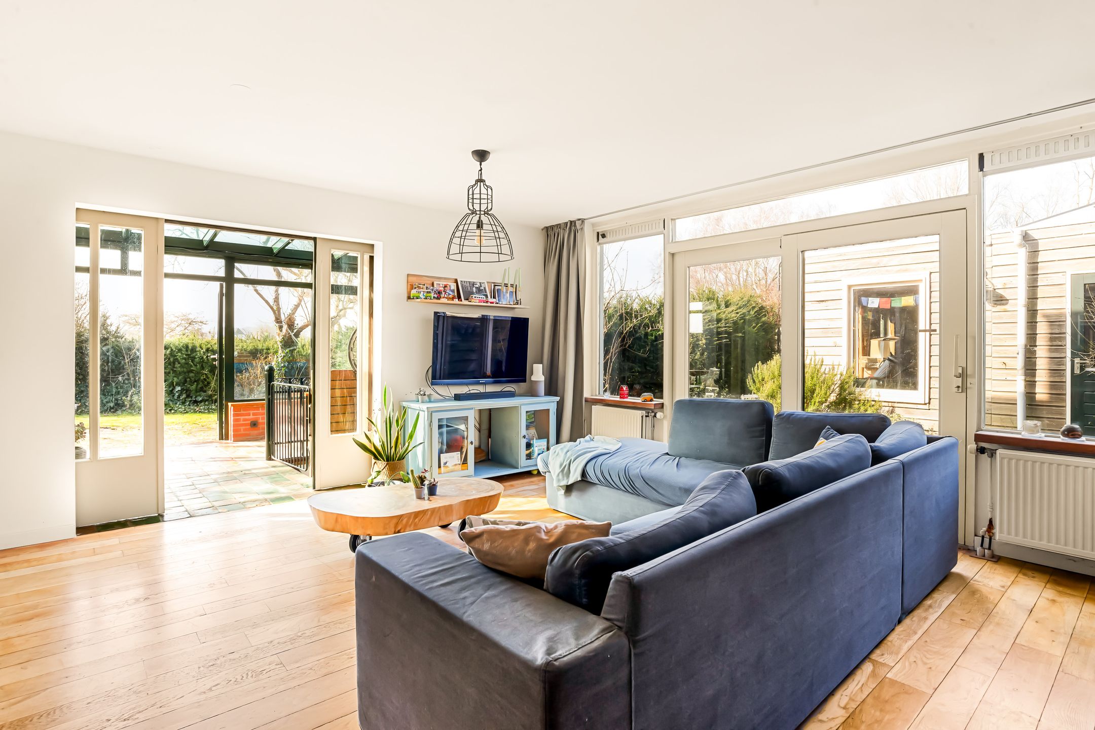 Foto 15 van Engels Gras 56