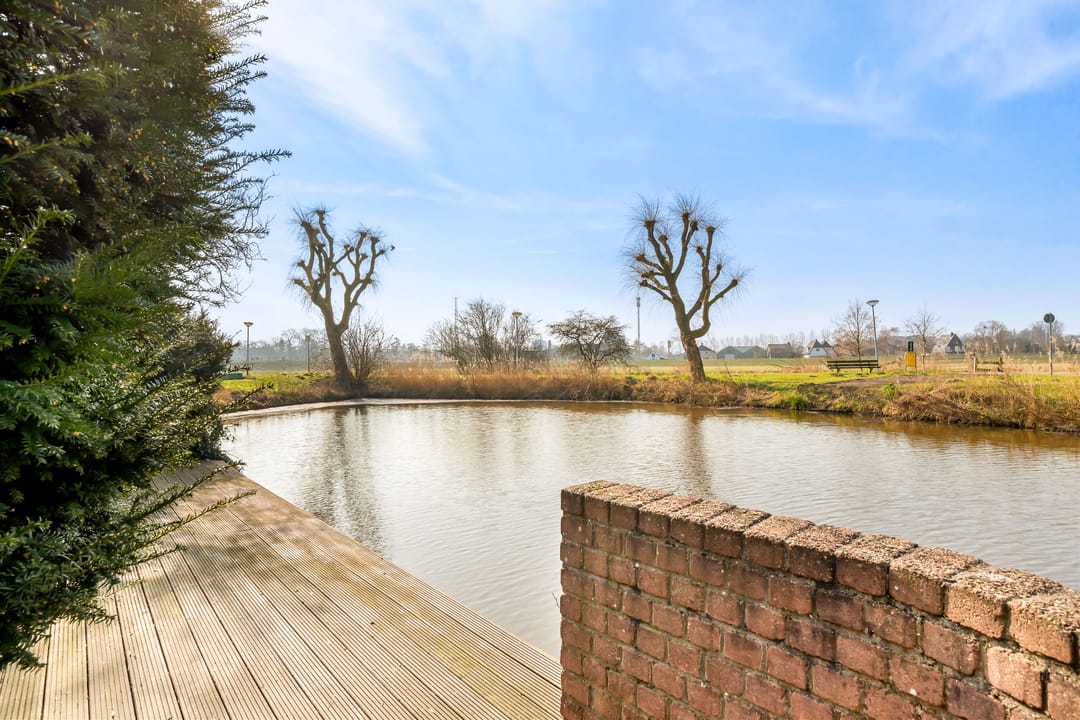 Foto 32 van Engels Gras 56