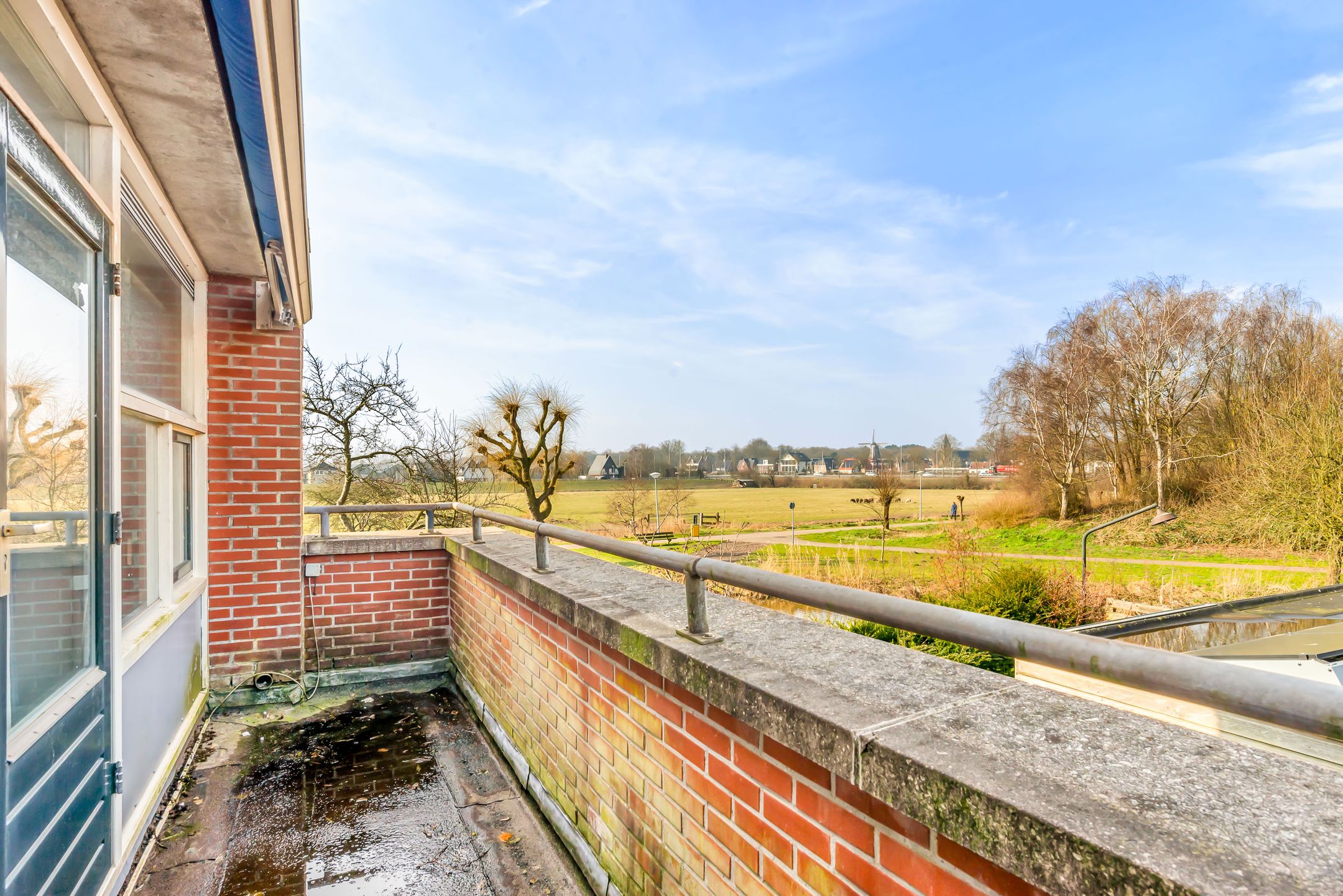 Foto 45 van Engels Gras 56