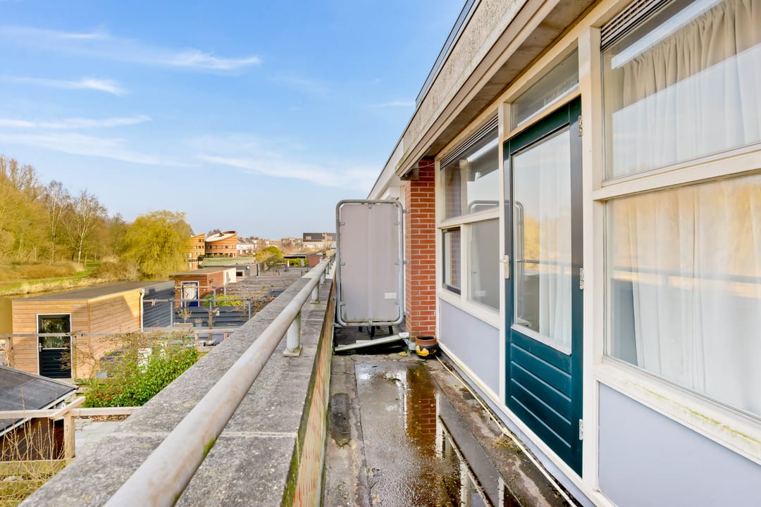 Foto 46 van Engels Gras 56