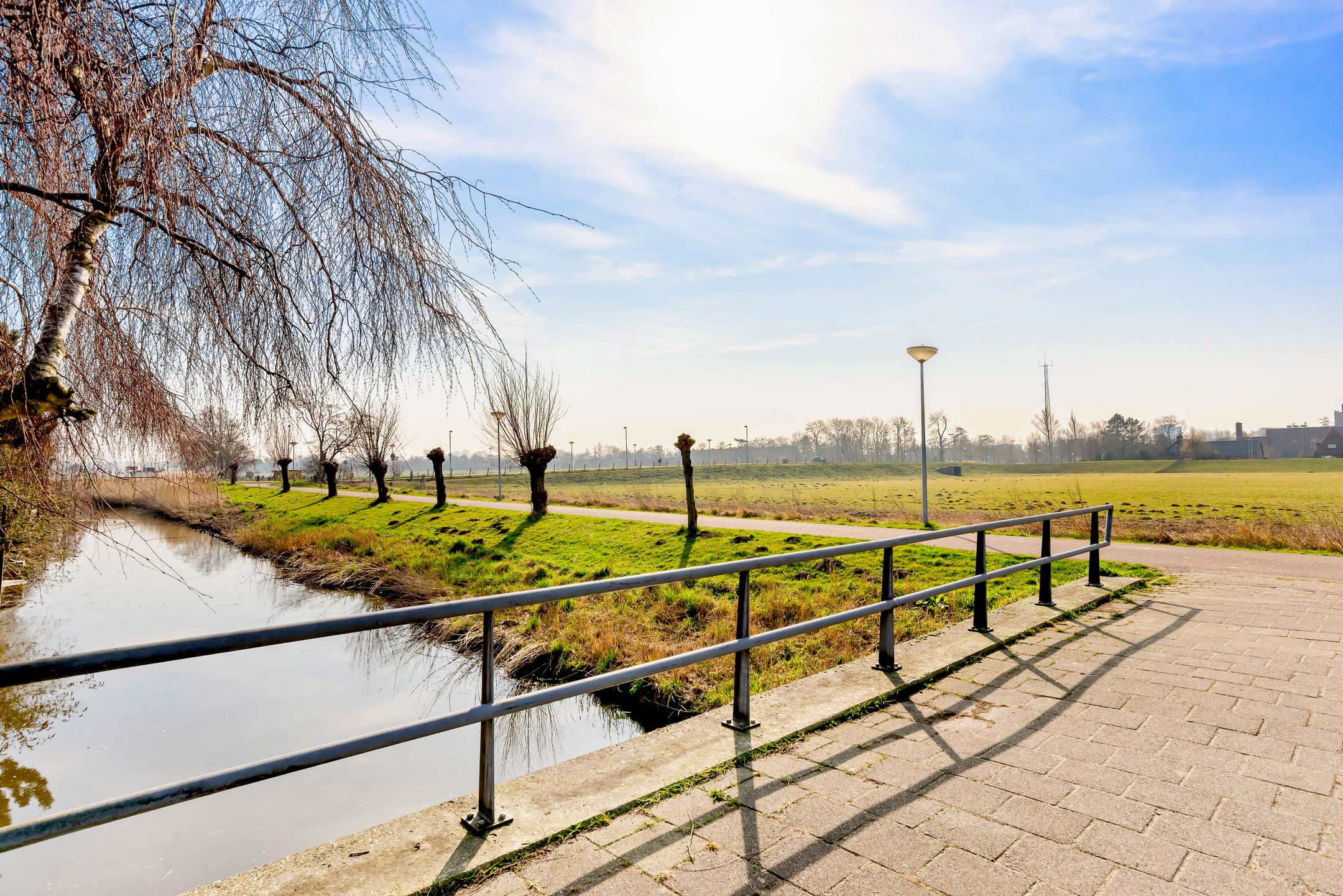 Foto 63 van Engels Gras 56