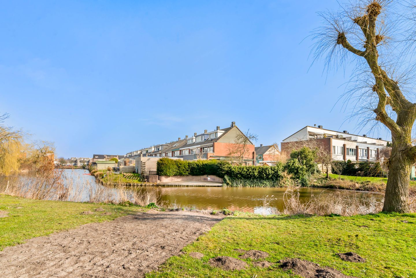 Foto 65 van Engels Gras 56