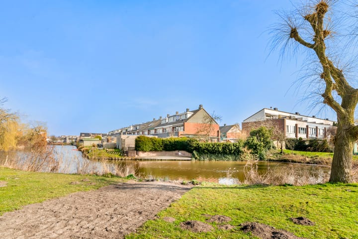 Foto 65 van Engels Gras 56