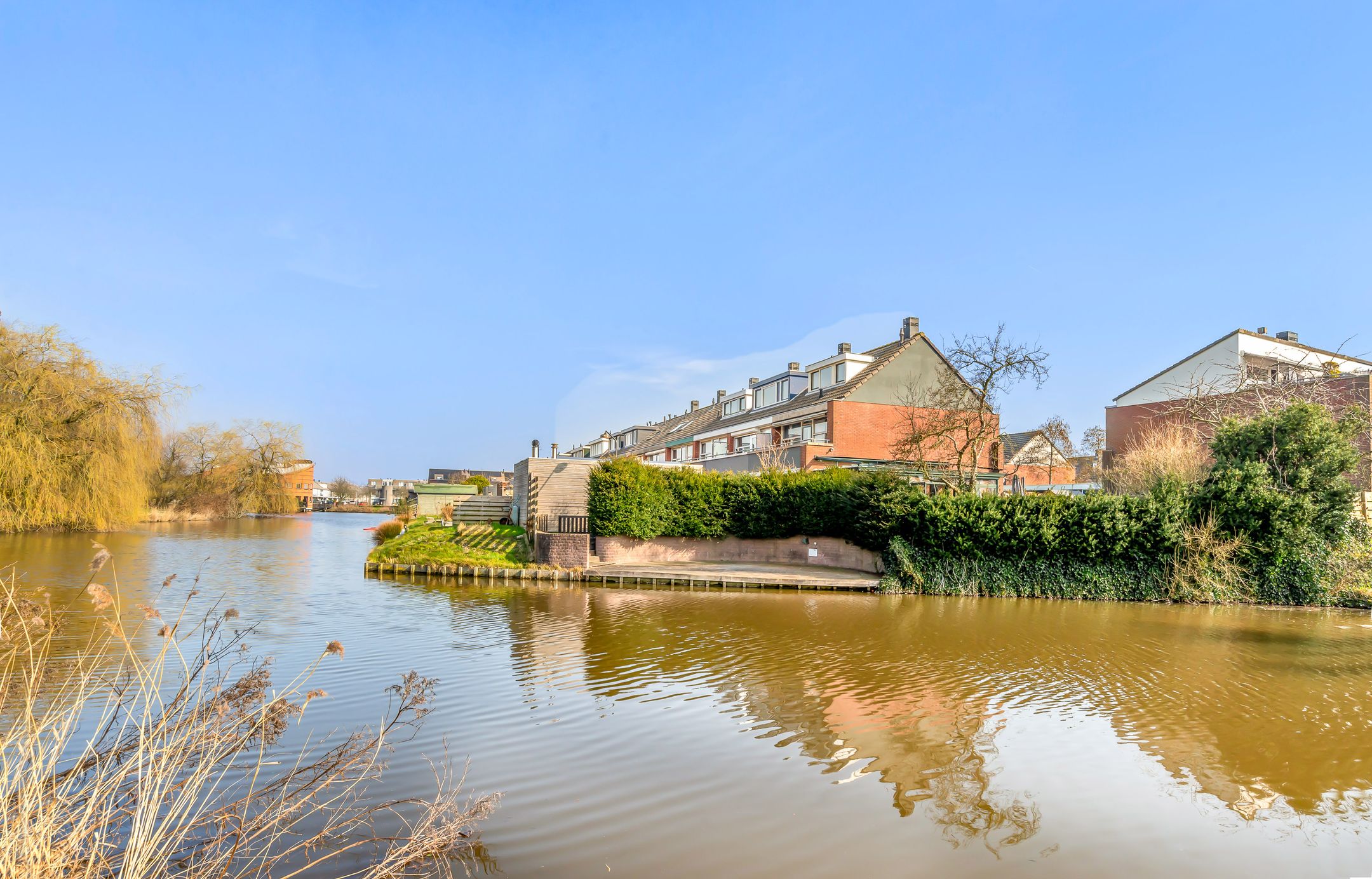 Foto 66 van Engels Gras 56