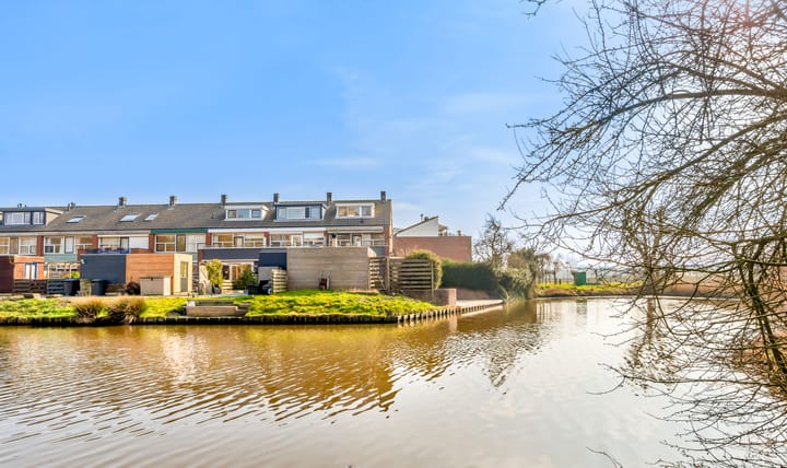 Foto 67 van Engels Gras 56