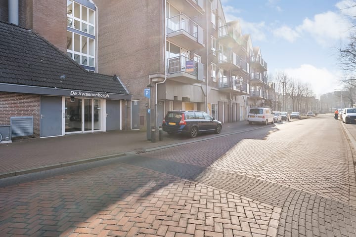 Foto 3 van de Swaenenborgh 48