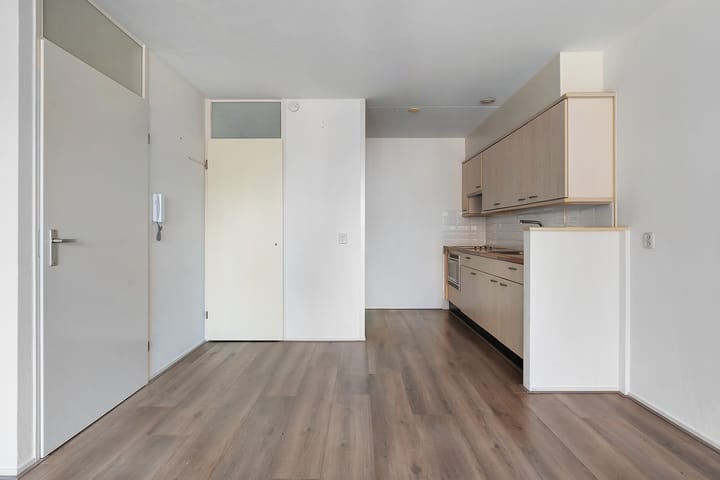 Foto 17 van de Swaenenborgh 48