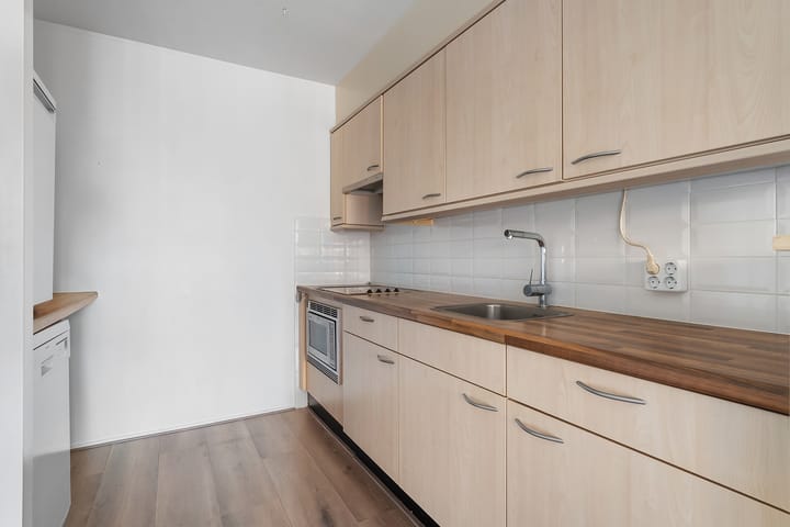 Foto 18 van de Swaenenborgh 48