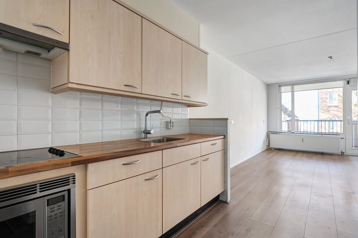 Foto 19 van de Swaenenborgh 48