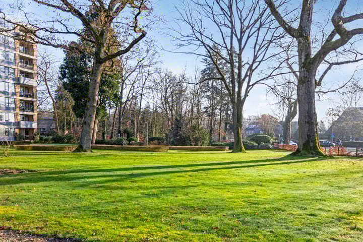 Foto 29 van Rozenhof 10