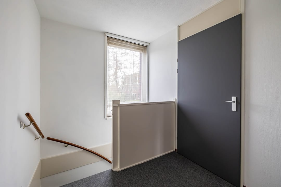 Foto 26 van Zwaan 19