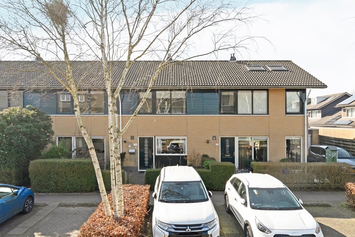 Bekijk foto van Februaristraat 111