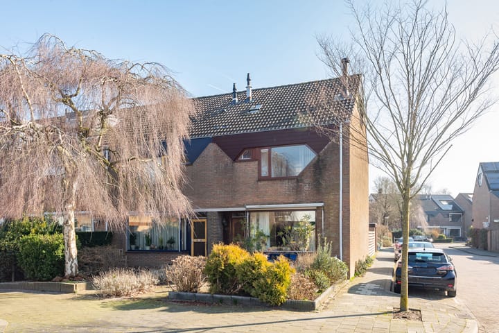 Foto 21 van Meerkoet 40