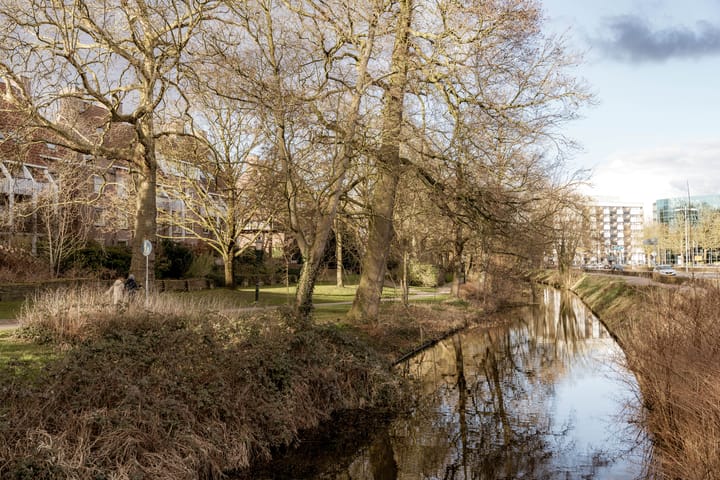 Foto 41 van Stadsring 185-E