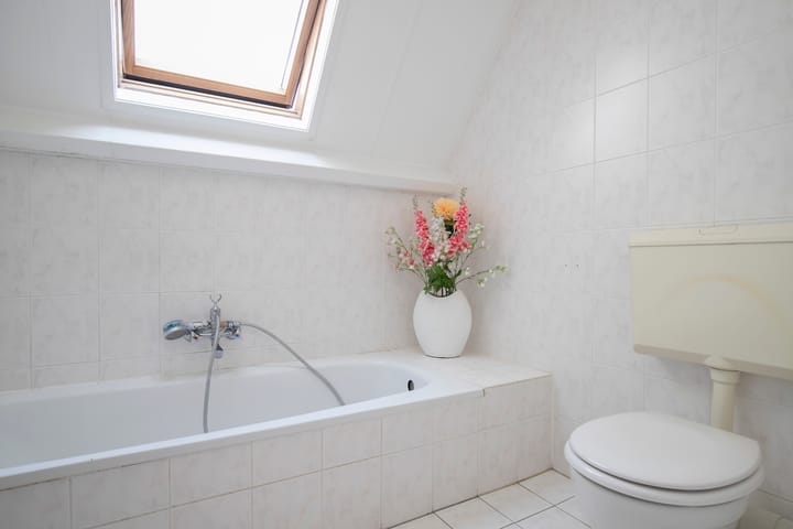 Foto 43 van Roebol 58