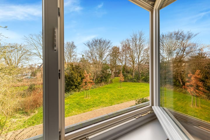 Foto 31 van Sleutelbloem 23