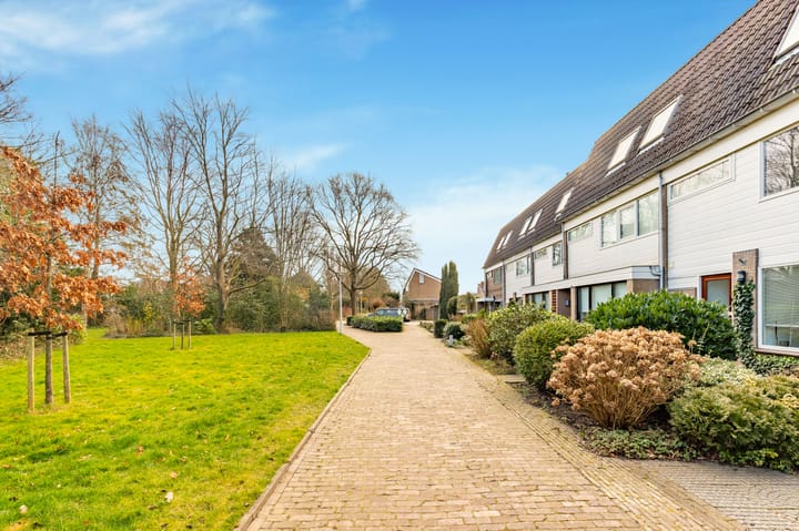 Foto 37 van Sleutelbloem 23