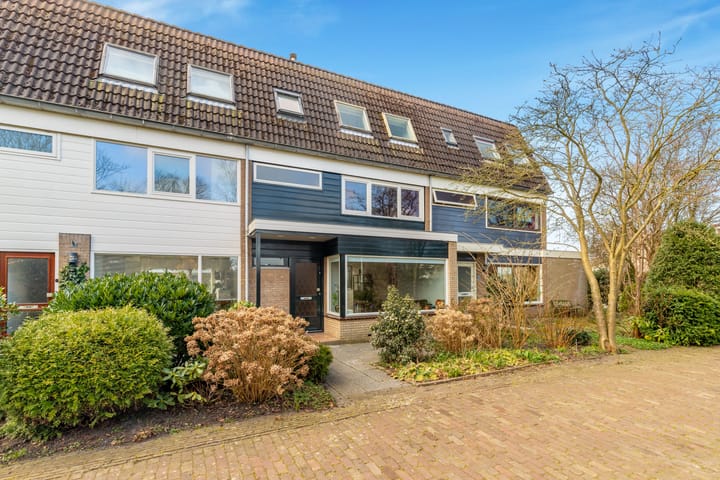 Foto 38 van Sleutelbloem 23