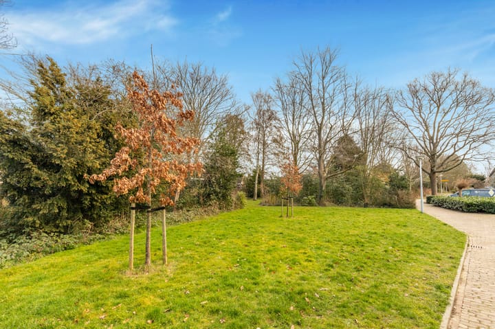 Foto 40 van Sleutelbloem 23