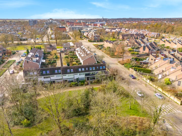 Foto 42 van Sleutelbloem 23