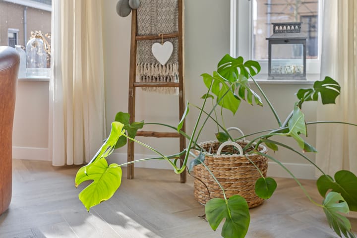 Foto 11 van Violenstraat 4