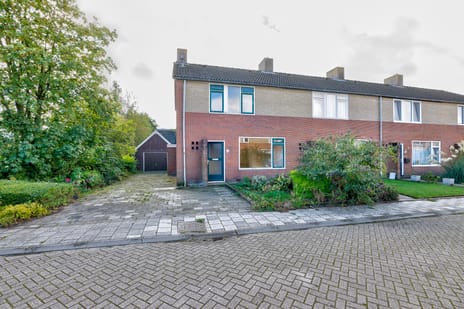 undefined main image